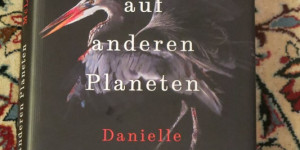 Beitragsbild des Blogbeitrags 61. Beitrag zu meiner Literatur-Weltreise – Irland