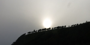 Beitragsbild des Blogbeitrags Mittwoch 28.Juli 2021 – Die Sonne der Freundlichkeit
