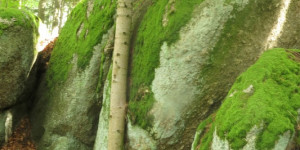 Beitragsbild des Blogbeitrags Granit