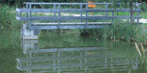 Beitragsbild des Blogbeitrags Wohin führt die gespiegelte Brücke?