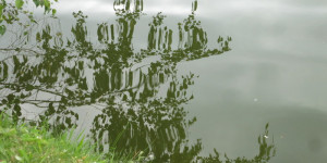 Beitragsbild des Blogbeitrags Spieglein, Spieglein an der Wand …
