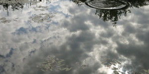 Beitragsbild des Blogbeitrags Und immer wieder: das mystische Waldviertel