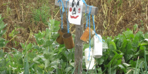 Beitragsbild des Blogbeitrags Angst und Schrecken