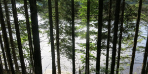 Beitragsbild des Blogbeitrags Und plötzlich ist da ein Teich