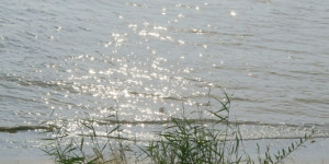 Beitragsbild des Blogbeitrags Ein Strand ist ein Strand ist ein Strand …