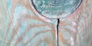 Beitragsbild des Blogbeitrags Zwischenstand – Impulswerkstatt September, Oktober