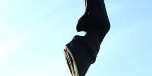 Beitragsbild des Blogbeitrags Ein graziöser Huf …