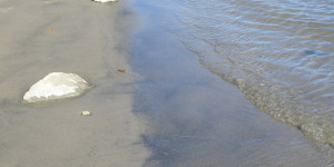 Beitragsbild des Blogbeitrags Wasser- und Farbenspiele 
