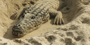 Beitragsbild des Blogbeitrags Lebender Sand 