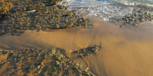 Beitragsbild des Blogbeitrags Auch der Blick auf den Sand und seine Strukturen darf nicht fehlen