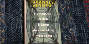 Beitragsbild des Blogbeitrags 63. Station meiner Literatur – und Kunstweltreise – Schweden 2