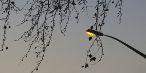 Beitragsbild des Blogbeitrags Mittwoch 24.November 2021