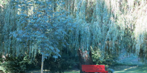 Beitragsbild des Blogbeitrags Bank im Zauberwald – Impulswerkstatt