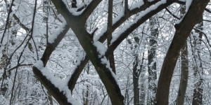 Beitragsbild des Blogbeitrags Geometrie in schwarz/weiß