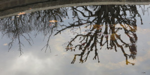Beitragsbild des Blogbeitrags Montag 20. Dezember 21 – Der Finger, der zum Mond zeigt
