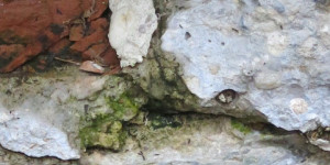 Beitragsbild des Blogbeitrags Friedhofsansichten 4/4