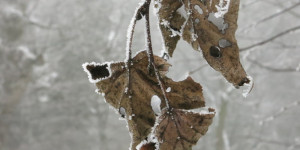 Beitragsbild des Blogbeitrags Vorausblickend