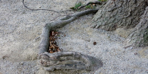 Beitragsbild des Blogbeitrags Man weiß nicht 
