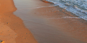 Beitragsbild des Blogbeitrags Projekt P10 #5 „Natur 1“