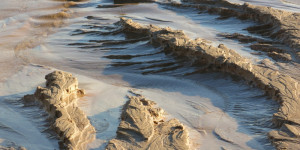 Beitragsbild des Blogbeitrags Projekt P10 #5 „Natur 2“