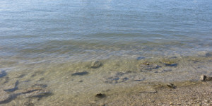 Beitragsbild des Blogbeitrags Ein Strand ist ein Strand ist ein Strand 
