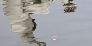 Beitragsbild des Blogbeitrags Statuen und Enten …