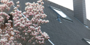 Beitragsbild des Blogbeitrags Idylle in grau-rosa 