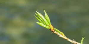 Beitragsbild des Blogbeitrags Alles neu 