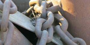 Beitragsbild des Blogbeitrags Schon wieder so einer !