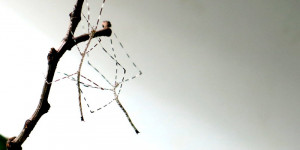 Beitragsbild des Blogbeitrags Kein Blumenstrauß,