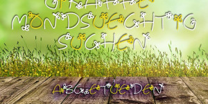 Beitragsbild des Blogbeitrags Auch in der Savanne – ABC-Etüde 