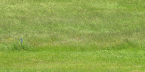 Beitragsbild des Blogbeitrags Verwandelnder Wind – Impulswerkstatt