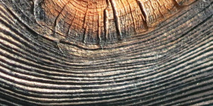Beitragsbild des Blogbeitrags Hölzerne Augen und Sonnen 