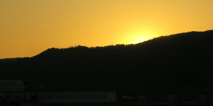 Beitragsbild des Blogbeitrags Zwar ist die Donau nicht blau …