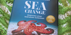 Beitragsbild des Blogbeitrags Krakenfreundschaft