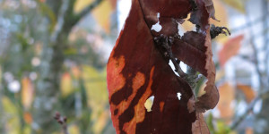 Beitragsbild des Blogbeitrags Mittwoch 9. November 2022