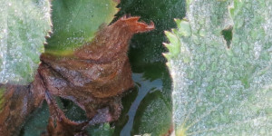 Beitragsbild des Blogbeitrags Freitag 18.November 2022