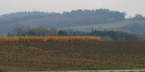 Beitragsbild des Blogbeitrags Sonntag 27. November 2022