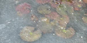 Beitragsbild des Blogbeitrags Gegensätze?