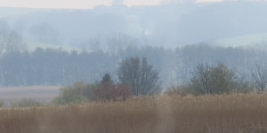 Beitragsbild des Blogbeitrags Kein Feuer und auch kein Geysir -Montag 10.April 2023