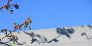 Beitragsbild des Blogbeitrags Beginn 