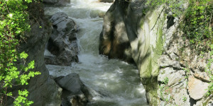 Beitragsbild des Blogbeitrags Montag, 24.April – Wildbäche, mediterrane Pflanzen und Tiroler