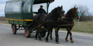 Beitragsbild des Blogbeitrags Heimfahrt – Impulswerkstatt 