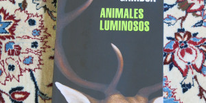 Beitragsbild des Blogbeitrags 83. Station meiner Literaturweltreise – Peru