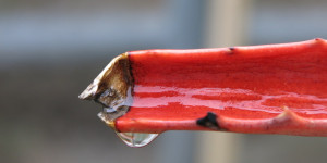 Beitragsbild des Blogbeitrags Donnerstag 18.Mai 2023 -Chaos und Ärger