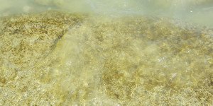 Beitragsbild des Blogbeitrags Mittwoch 28.Juni – Beschaulichkeit am neunten Sommertag