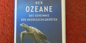 Beitragsbild des Blogbeitrags Nomaden der Ozeane