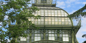 Beitragsbild des Blogbeitrags Donnerstag, 20. Juli 2023 – Training in Begleitung