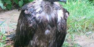 Beitragsbild des Blogbeitrags Mittwoch 19. Juli 2023 – Wetter, Malerei und Genetik am dreißigsten Sommertag