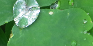Beitragsbild des Blogbeitrags Smaragd aus H2O 